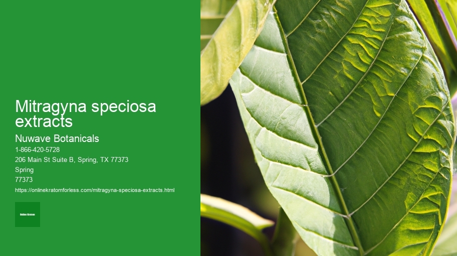 mitragyna speciosa extracts
